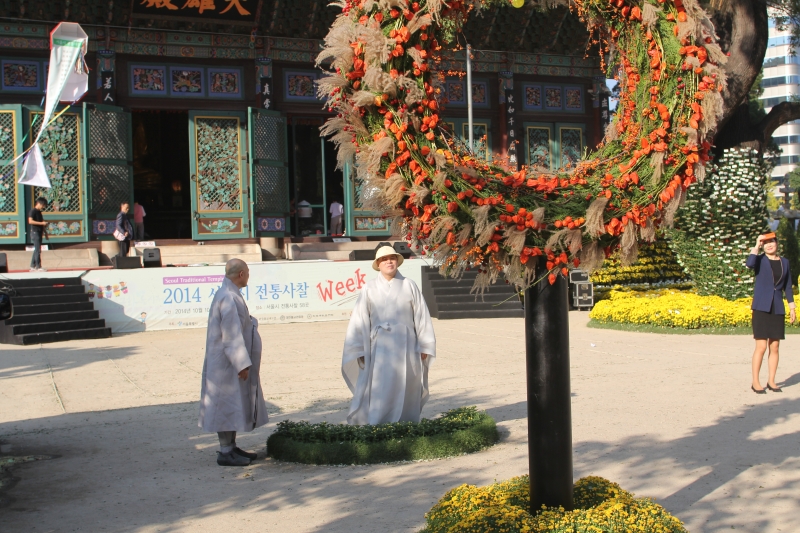 2014.10.10_조계사 국화(사서실) (33)